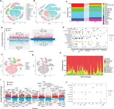 Frontiers | Identification Of The Shared Gene Signatures And Molecular ...